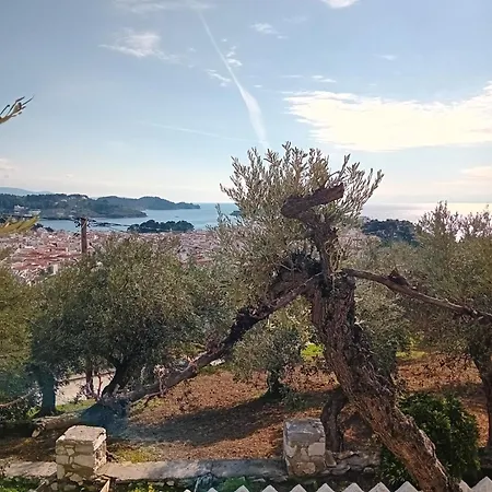 Makis 斯基亚索斯镇